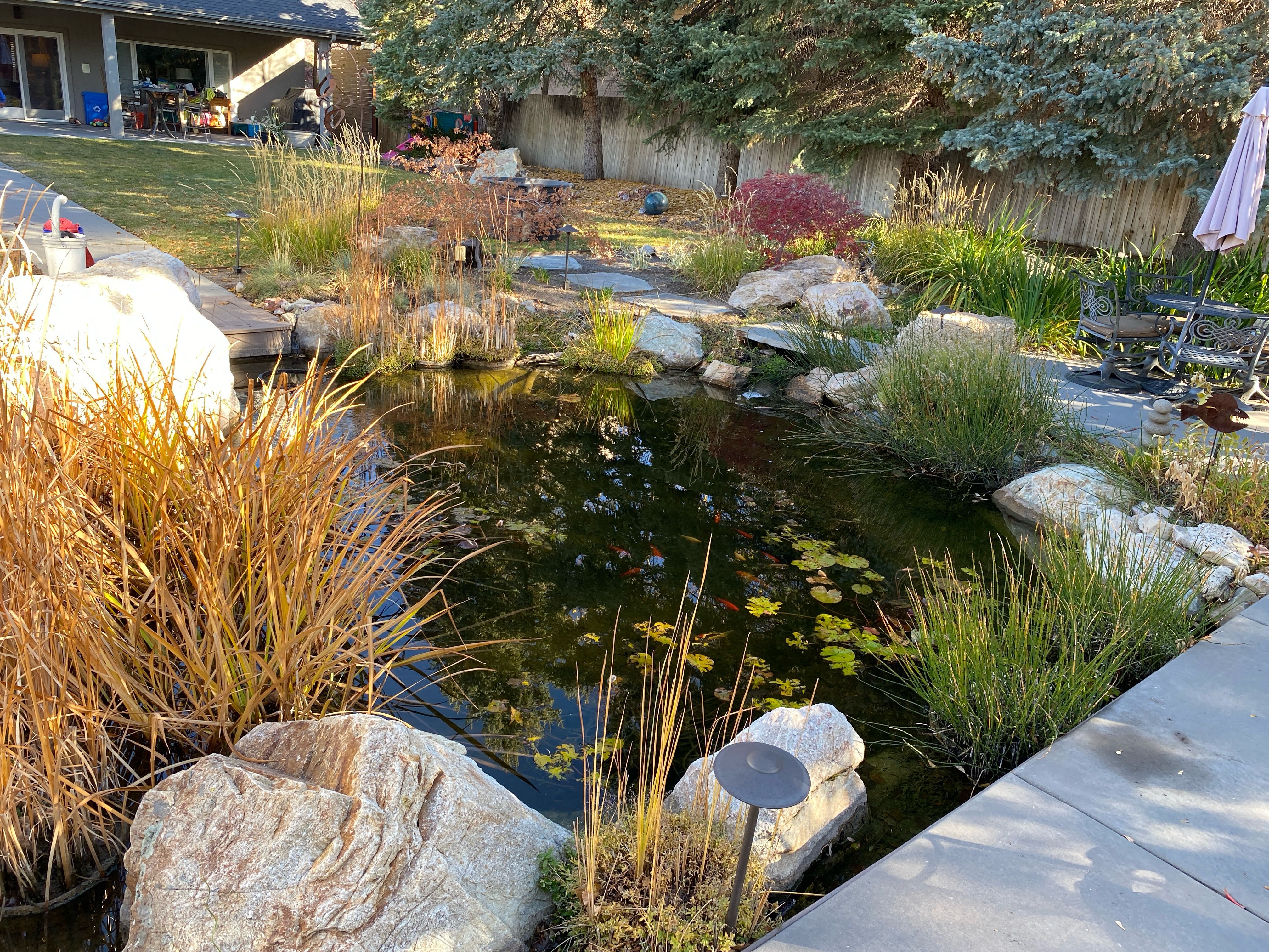 Professional pond maintenance in Utah